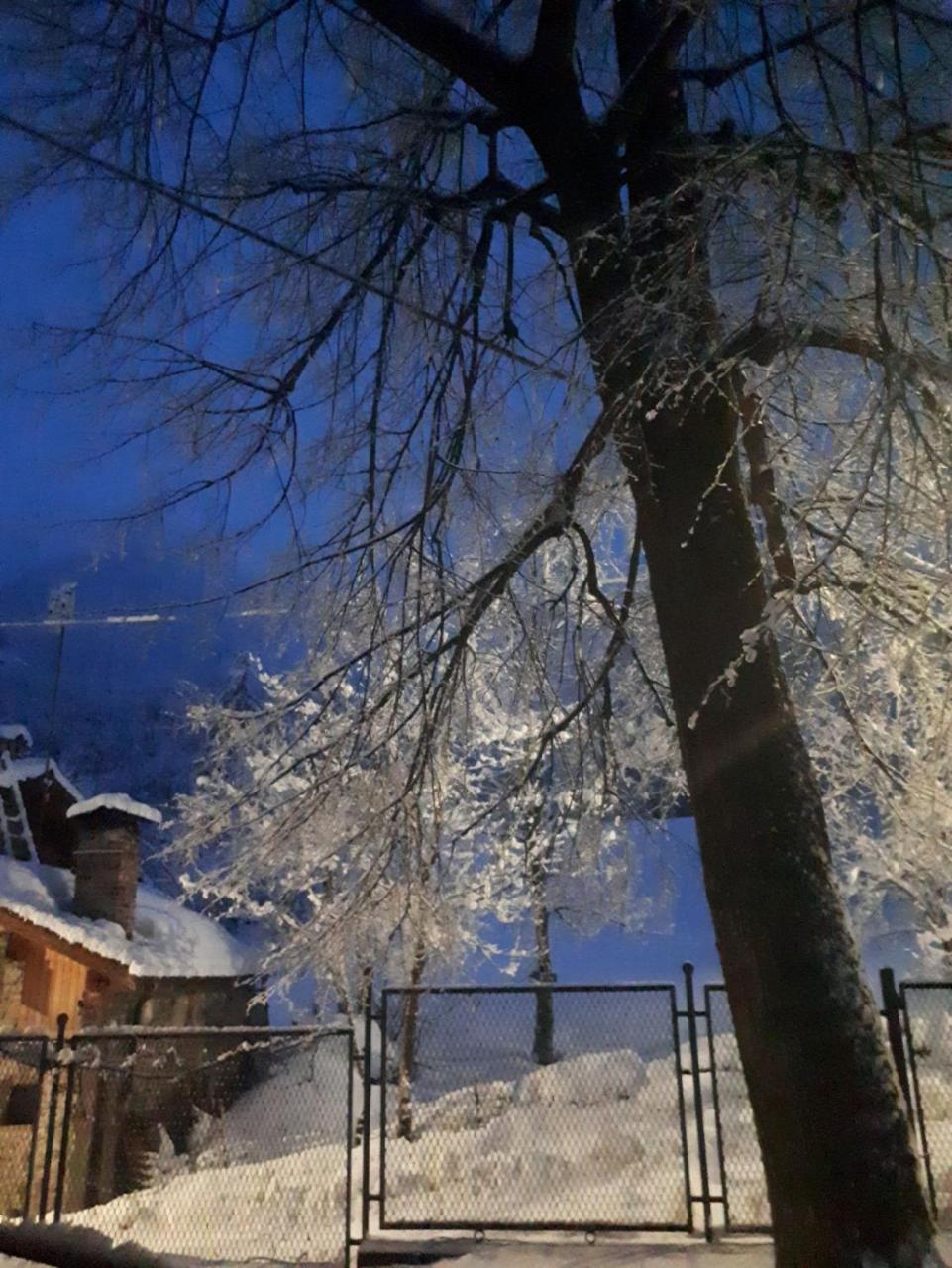 Balma Meris Hotel Valdieri Bagian luar foto